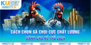 Cách chọn gà chọi